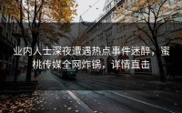 业内人士深夜遭遇热点事件迷醉，蜜桃传媒全网炸锅，详情直击