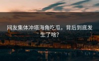 网友集体冲塔海角吃瓜，背后到底发生了啥？