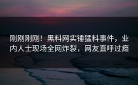 刚刚刚刚！黑料网实锤猛料事件，业内人士现场全网炸裂，网友直呼过瘾