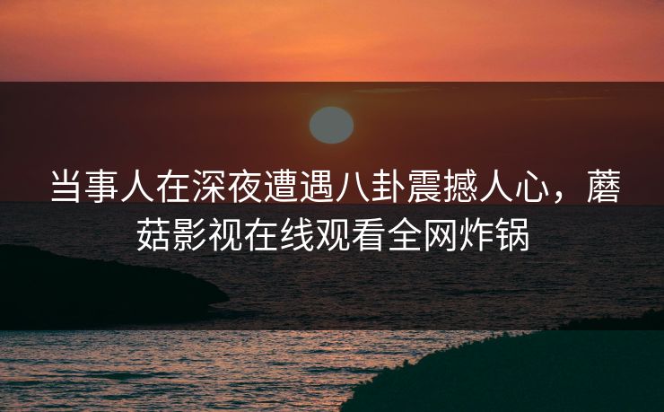 当事人在深夜遭遇八卦震撼人心，蘑菇影视在线观看全网炸锅