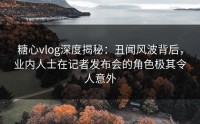 糖心vlog深度揭秘：丑闻风波背后，业内人士在记者发布会的角色极其令人意外