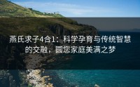 燕氏求子4合1：科学孕育与传统智慧的交融，圆您家庭美满之梦