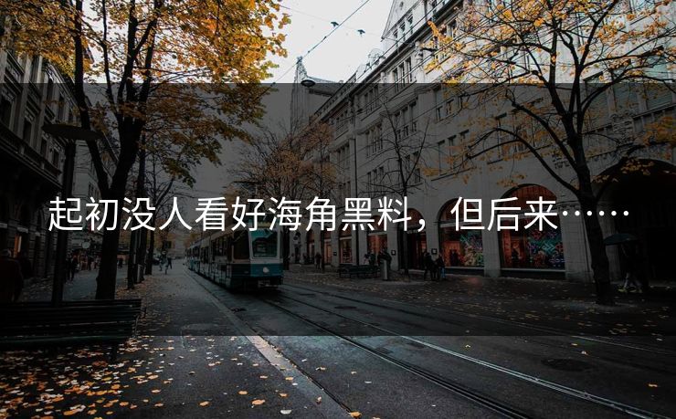起初没人看好海角黑料，但后来……