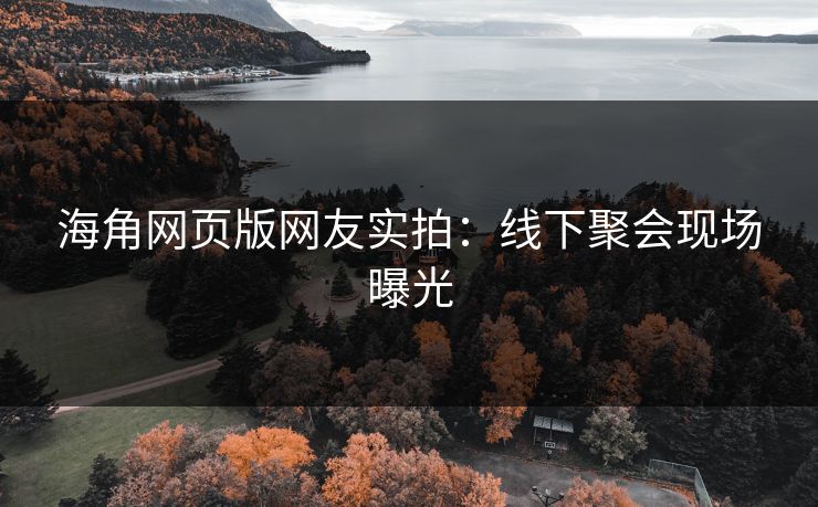 海角网页版网友实拍：线下聚会现场曝光