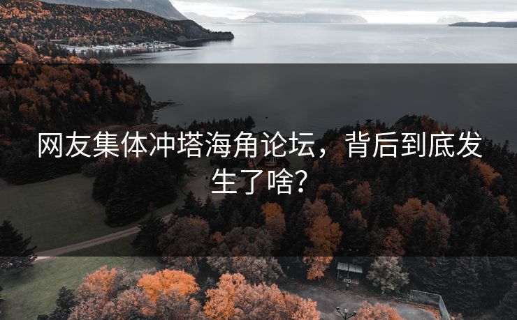 网友集体冲塔海角论坛，背后到底发生了啥？