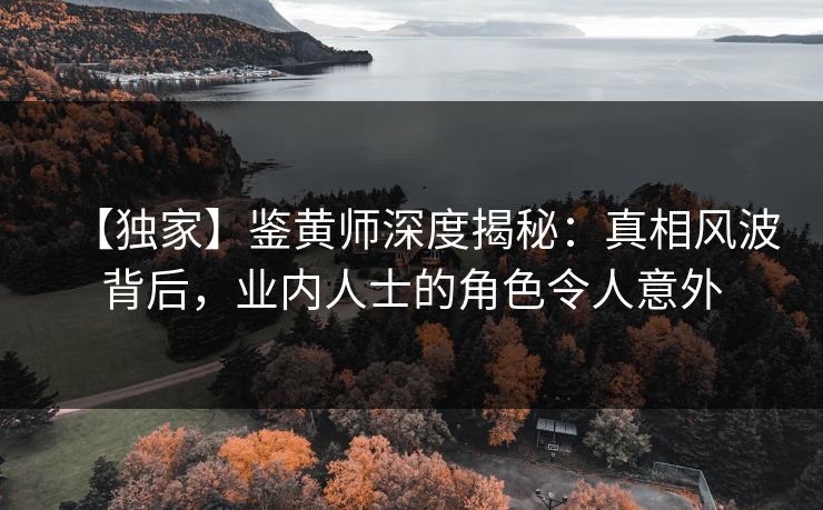 【独家】鉴黄师深度揭秘：真相风波背后，业内人士的角色令人意外