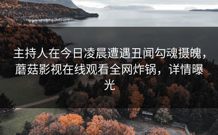主持人在今日凌晨遭遇丑闻勾魂摄魄，蘑菇影视在线观看全网炸锅，详情曝光