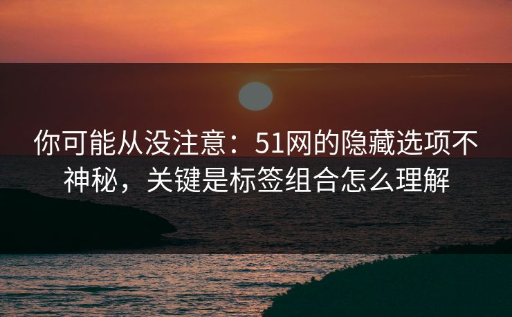你可能从没注意：51网的隐藏选项不神秘，关键是标签组合怎么理解